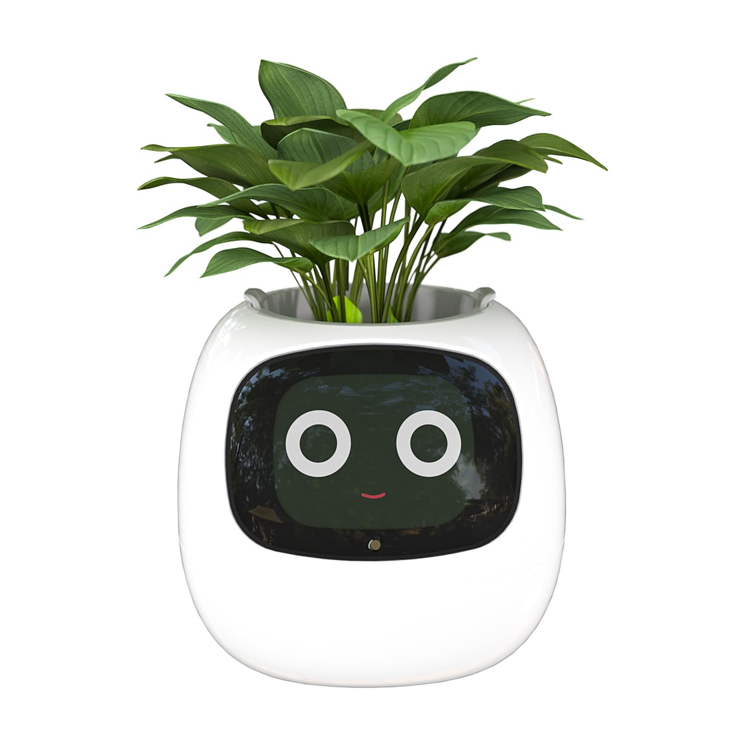 IVY Smart Plant Port